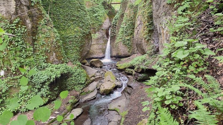 鳥取県の山あいの地域にある地元民おすすめ超穴場な涼スポット！民家の間の細道を通ってたどり着く「権現滝」