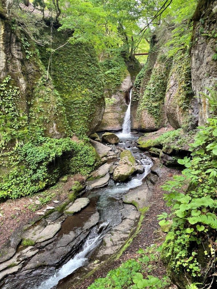 鳥取県の山あいの地域にある地元民おすすめ超穴場な涼スポット！民家の間の細道を通ってたどり着く「権現滝」