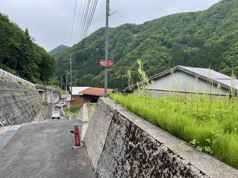 鳥取県の山あいの地域にある地元民おすすめ超穴場な涼スポット！民家の間の細道を通ってたどり着く「権現滝」