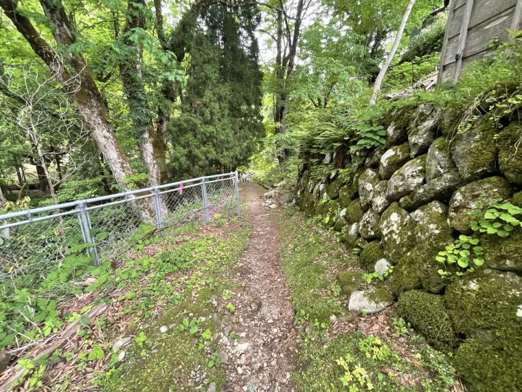 鳥取県の山あいの地域にある地元民おすすめ超穴場な涼スポット！民家の間の細道を通ってたどり着く「権現滝」
