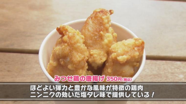 道の駅慈恩の滝くす