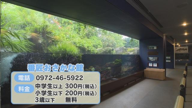 番匠おさかな館