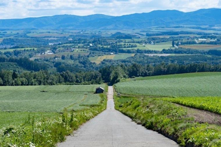 就実の丘（しゅうじつのおか）