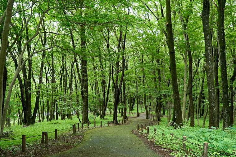 道の駅うつのみや ろまんちっく村