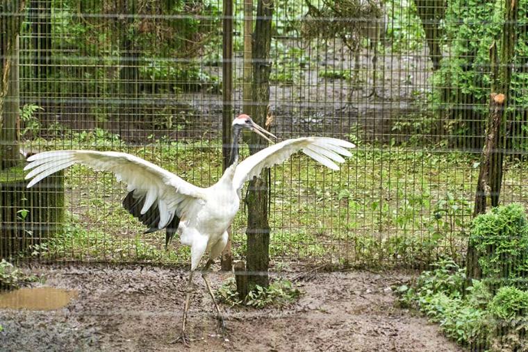 道の駅うつのみや ろまんちっく村