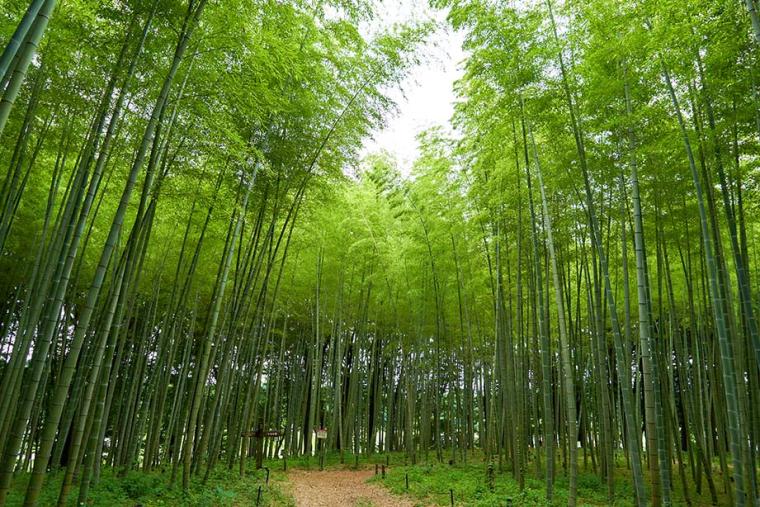 道の駅うつのみや ろまんちっく村