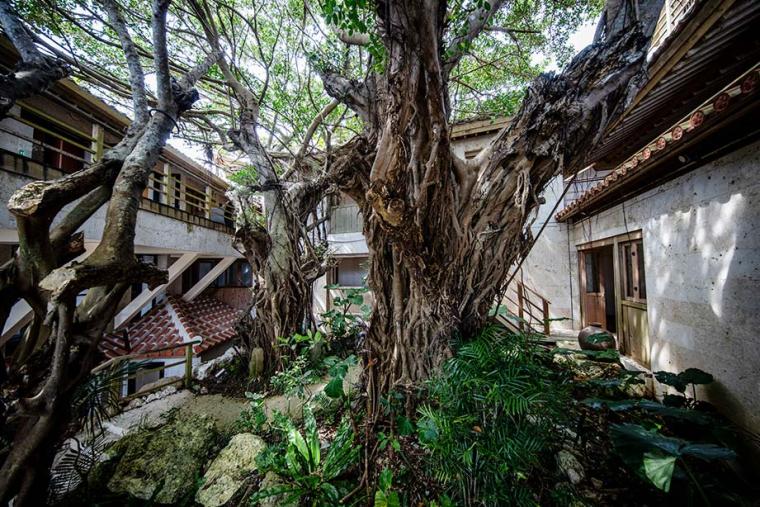 絶景ビューの憧れ宿「百名伽藍」神秘の地で過ごす癒しのリゾートステイ