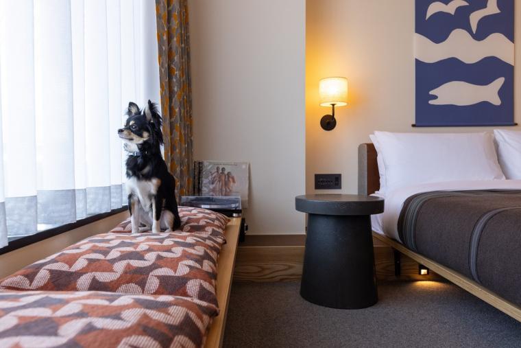 エースホテル京都③