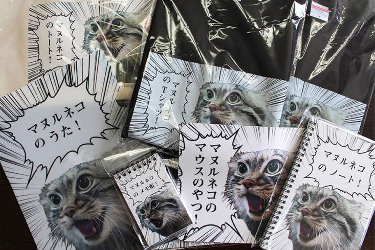 那須どうぶつ王国「マヌルネコの うた !」シリーズ