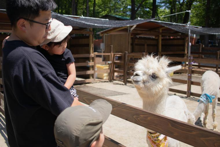 那須温泉「ホテルエピナール那須」に「どうぶつ広場」がオープン
