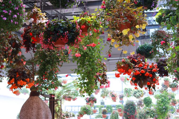 HANA・BIYORIフラワーシャンデリア