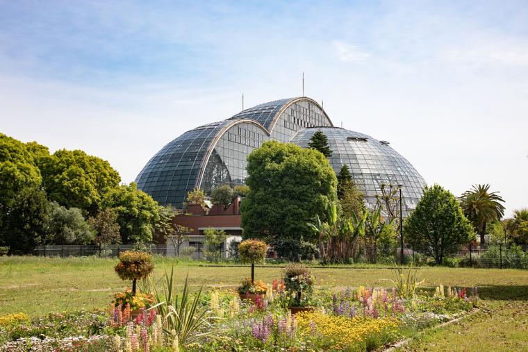 夢の島熱帯植物園３つのドーム