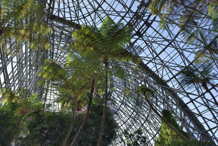 牧夢の島熱帯植物園　ドーム内