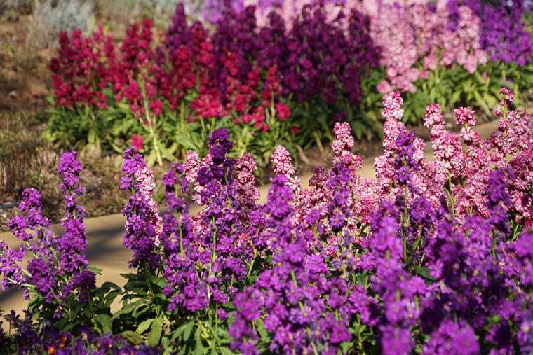 HANA・BIYORI　四季の庭