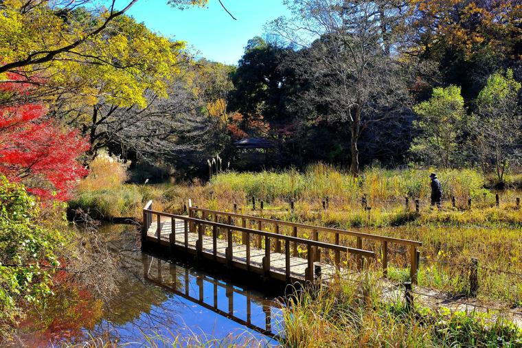 国立科学博物館附属 自然教育園