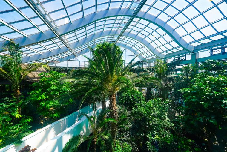 グリーンドーム熱帯館