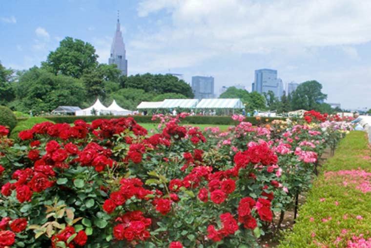 新宿御苑整形式庭園