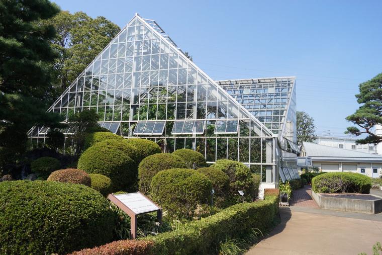 東京都薬用植物園　外観