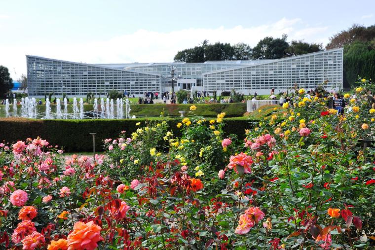 神代植物公園バラ