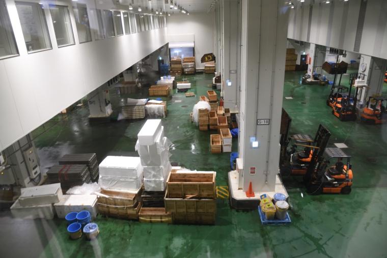 水産卸売場