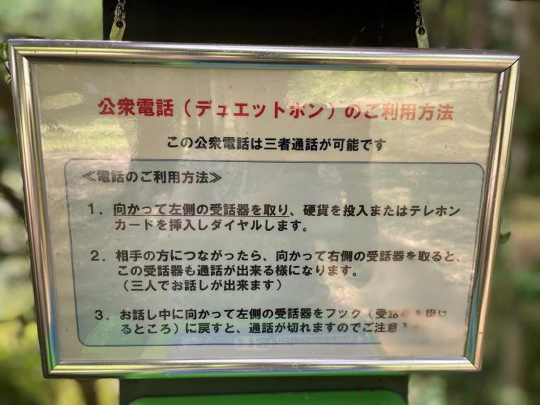 「何かがおかしい…」山の中で見つけた受話器が２つある公衆電話。｜島根県津和野町  