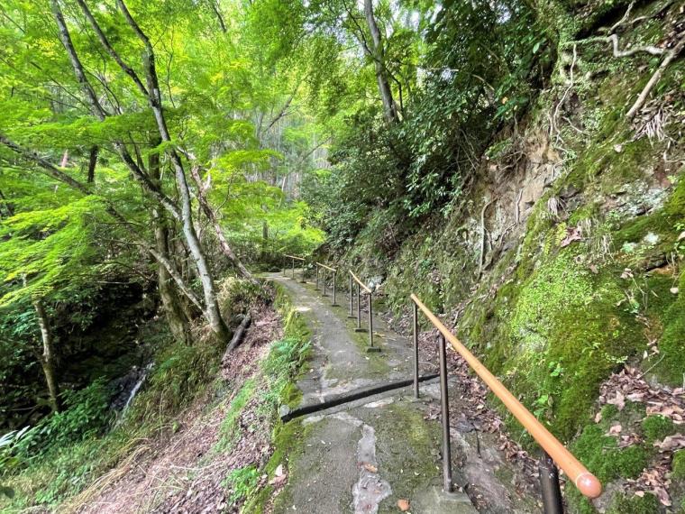 「何かがおかしい…」山の中で見つけた受話器が２つある公衆電話。｜島根県津和野町  