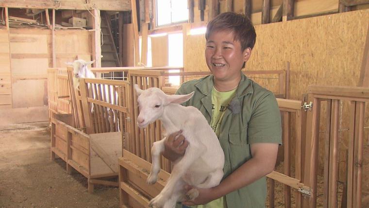 2023夏オープン！200匹の動物と触れ合える！ヤギがいっぱい“やぎ愛”に溢れた牧場｜島根県安来市  