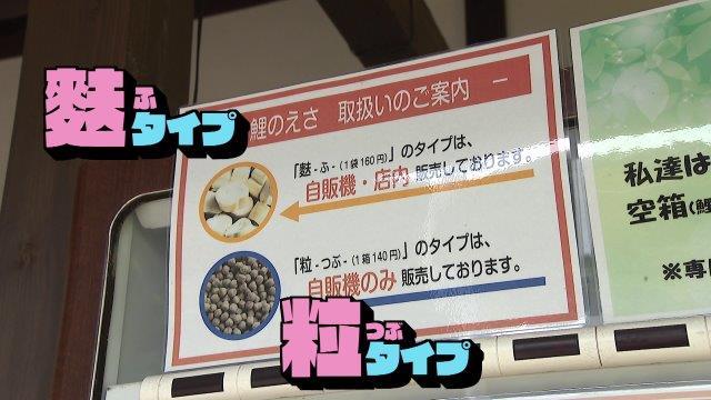 麩タイプと粒タイプのある鯉の餌