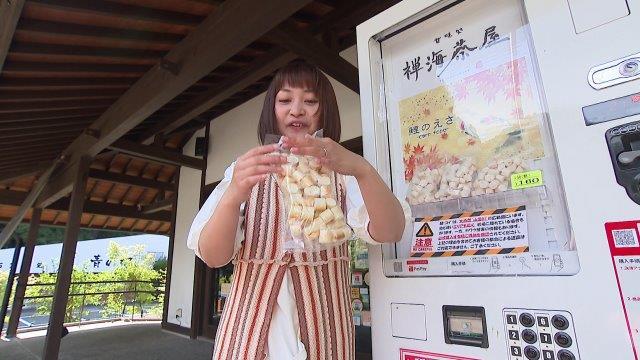 鯉の餌の自動販売機