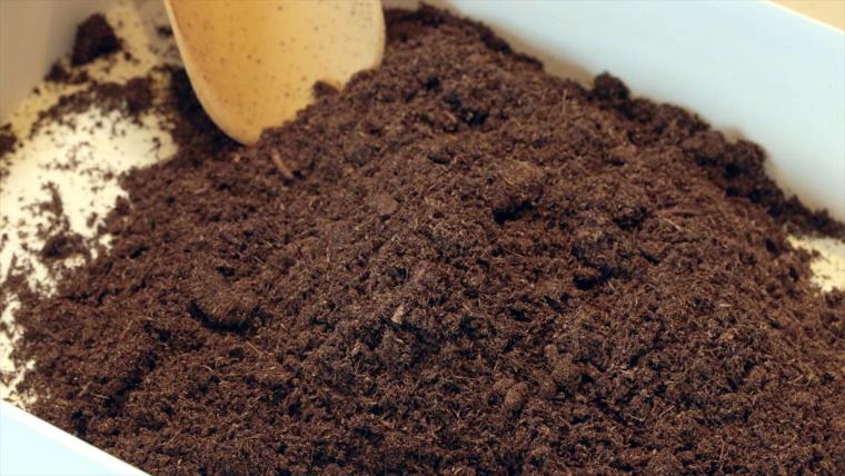 KISETSU BIOPHILIC DESIGN