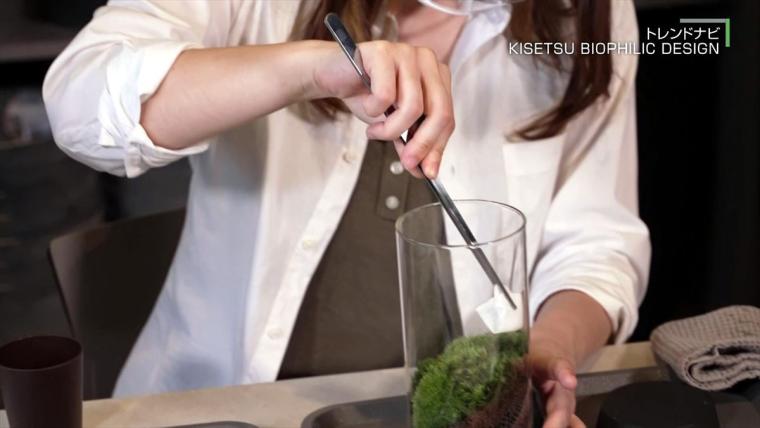 KISETSU BIOPHILIC DESIGN