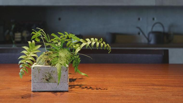 KISETSU BIOPHILIC DESIGN