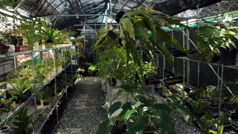 KISETSU BIOPHILIC DESIGN