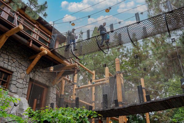 「ディズニー・カリフォルニア・アドベンチャー・パーク」の楽しみ方！エリアガイドや滞在を楽しくするTipsまで徹底解説