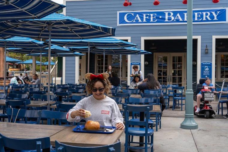 「ディズニー・カリフォルニア・アドベンチャー・パーク」の楽しみ方！エリアガイドや滞在を楽しくするTipsまで徹底解説