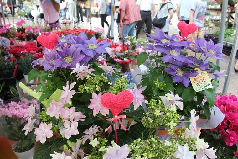 道の駅うつのみや ろまんちっく村