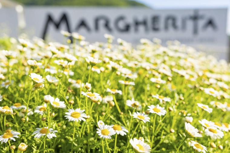 「五島列島リゾートホテル マルゲリータ」