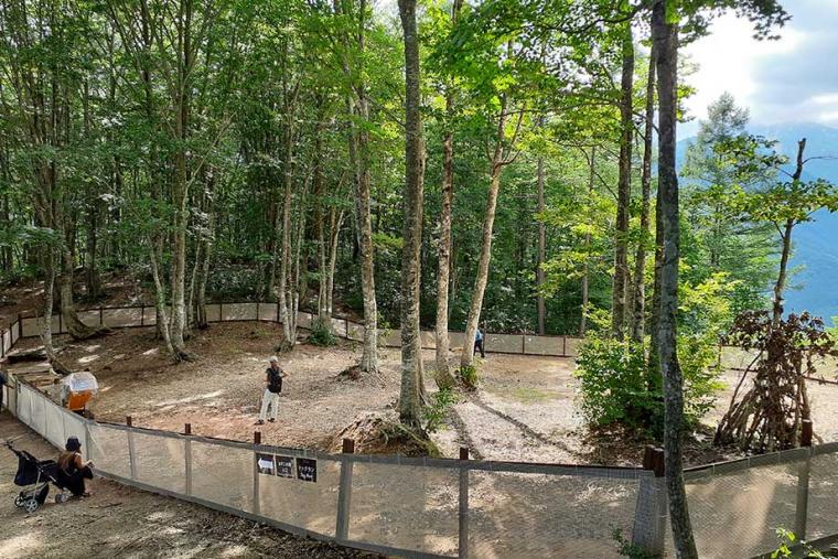 白馬「森のドッグラン」