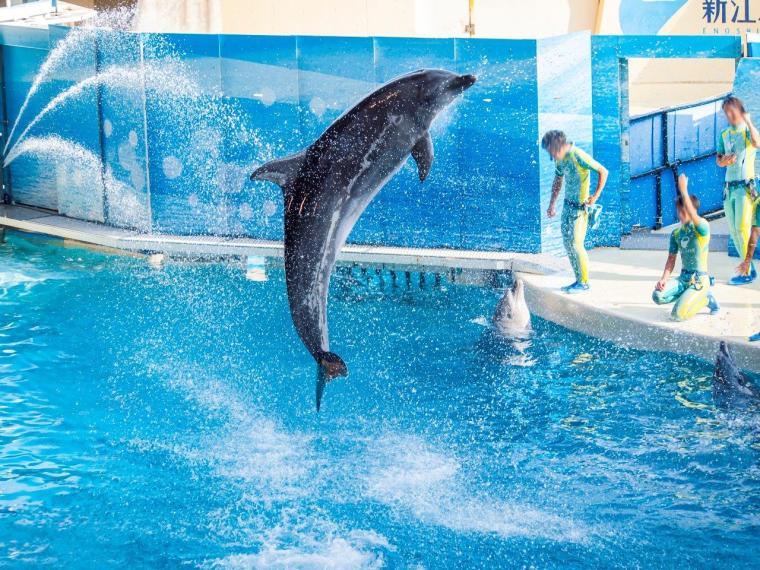 猛暑や雨の日でも快適に過ごせる神奈川の室内スポット32選