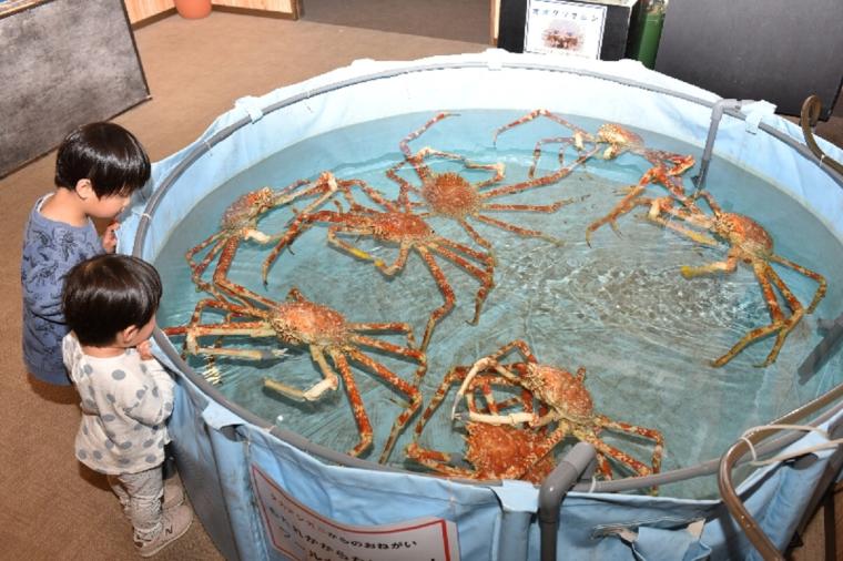 【2023年版】関西のおすすめ水族館13選！