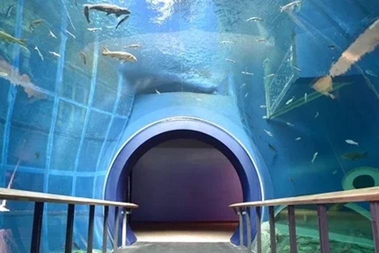 【2023年版】関西のおすすめ水族館13選！