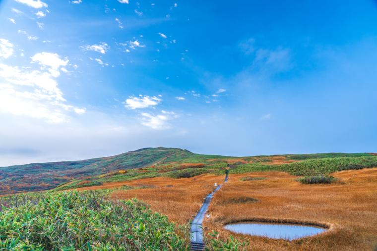 月山弥陀ヶ原湿原