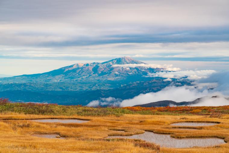 月山弥陀ヶ原湿原