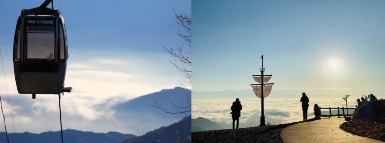 ゴンドラや展望デッキからの雲海の眺め
