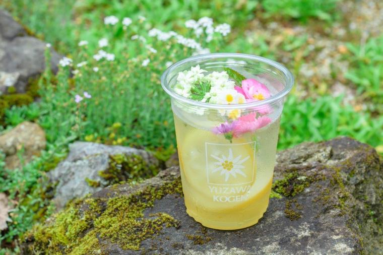 大パノラマの絶景と、可憐な高山植物に癒やされる