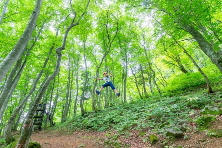 大パノラマの絶景と、可憐な高山植物に癒やされる
