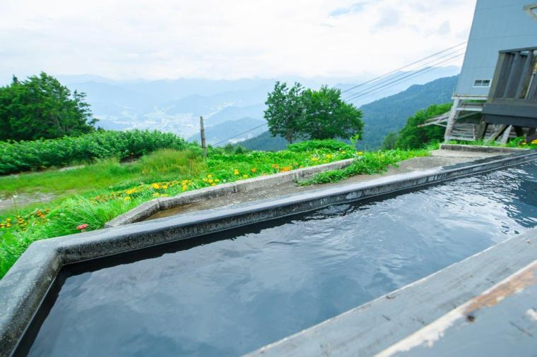 大パノラマの絶景と、可憐な高山植物に癒やされる