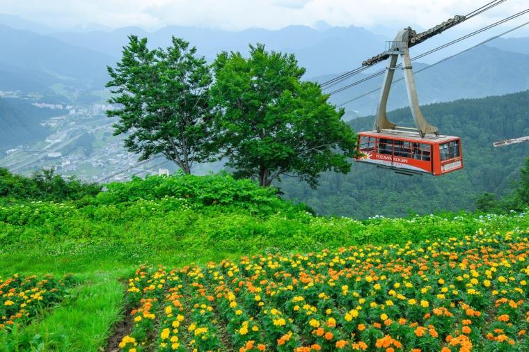 本物の自然と触れ合える、湯沢パノラマパーク