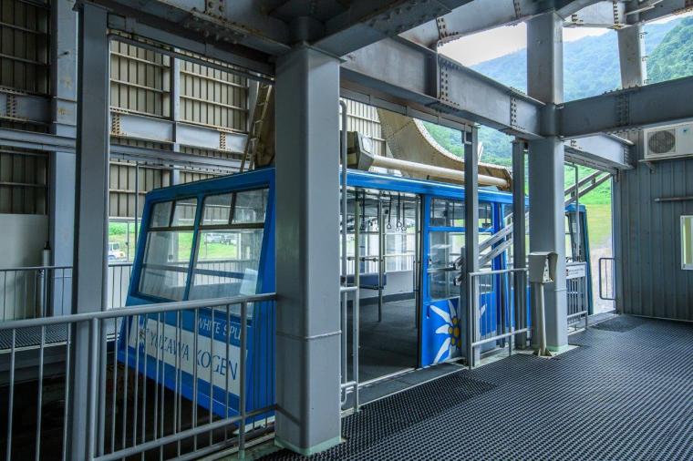 大パノラマの絶景と、可憐な高山植物に癒やされる