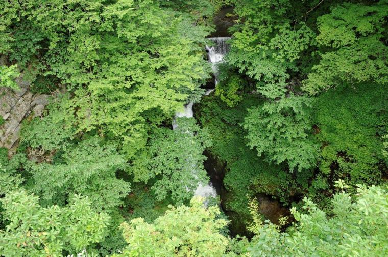 湯沢町民の憩いの場「大源太（だいげんた）キャニオン」